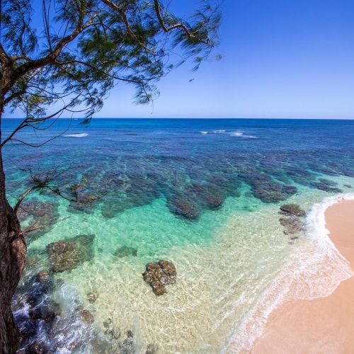 Such cherryness today #luckywelivehawaii &ndash; photo taken by chadkoga