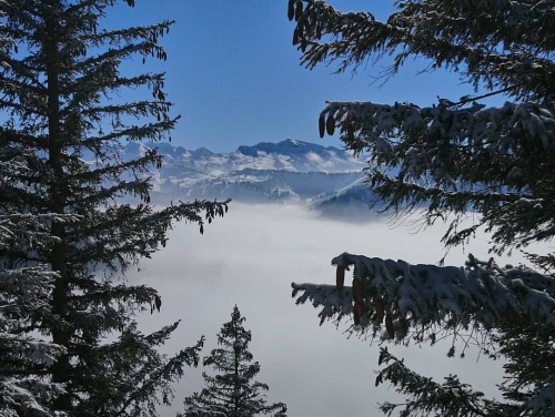 Winter mood#mountains #blueSky #snow #winter #trees #chablais #abondance #frenchAlps #valleeDabondan