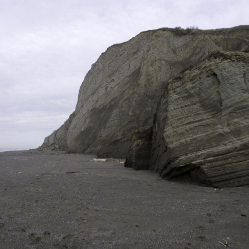 A few photos from Lost Coast Headlands, on the Guthrie Creek Trail. As always, the mile hike and 800