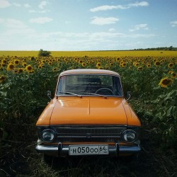 instagram:   A Nostalgic Ride Through Russia with @dobryvolshebnik To see more photos from Georgy’s journeys in his orange car, follow @dobryvolshebnik &ldquo;People on the road always spot this orange classic car. They remember their Soviet past—some