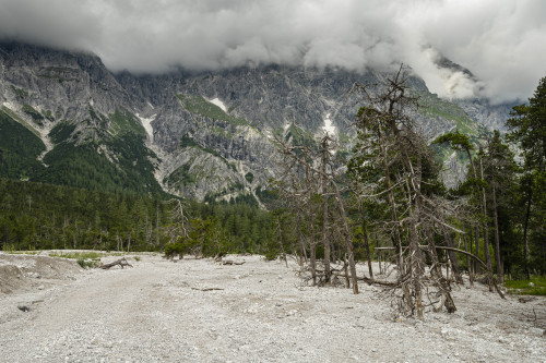staudnhuckn: Lost in the right direction Berchtesgaden National Park, Bavaria, Germany