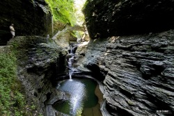 sixpenceee:  Watkins Glen State Park, New YorkWe all know Niagara Falls is a sight to see, but located south of Seneca  Lake in the Finger Lakes region lies a lesser-known fantasy-like area  called Rainbow Bridge and Falls.