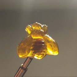 weedporndaily:  #shatterbee to start the holiday! by curbsideconcentrates