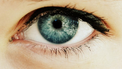 brutalgeneration:  My Eye (by Alva Lindstrom)