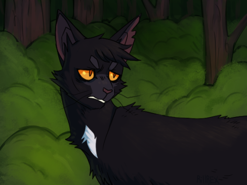 rexpaw:My Ravenpaw design! I wish the Erins gave him a warrior name. :c ( Kudos to whoever can guess