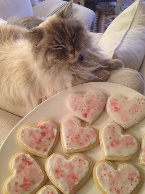princess-peachie: emilyember:me and leonardo baked sugar cookies. He looks so proud and content that