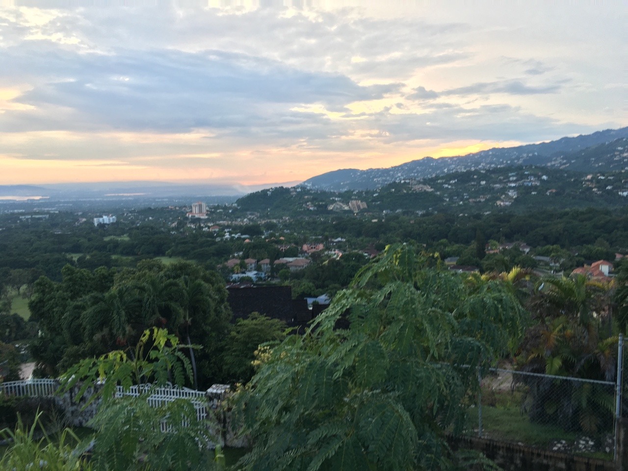 duttydominican:  Cherry Garden Hills, Jamaica