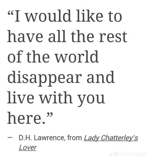 I. Red Desert II. Leslie Gulch III. Lang Leav IV. Lady Chatterley's Lover V. Conscious Items VI. Nancy