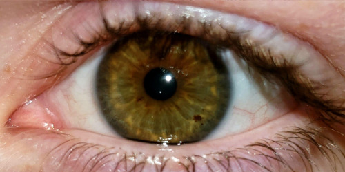 I Know Charlie Is Stated To Have Brown Eyes In The Book, But I Like To Imagine Mine Has Dark Hazel, Or