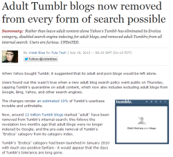 ladycunt:  silverseamstress:  tenaflyviper:  daddyfuckedme:  wow  Can we signal boost this bullshit, please?  This affects every one of you since they can flag you as an Adult blog if you reblog a lot of NSFW graphics or fanart. Signal boost the shit