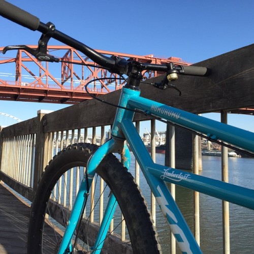 velograph: My bike takes me different places everyday. #braaapeverything #humuhumu