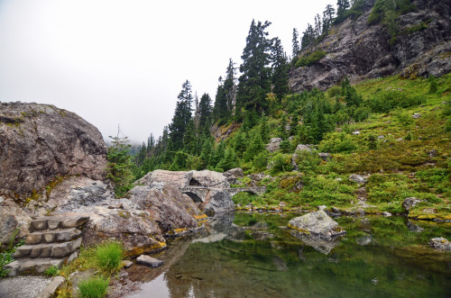 90377: Chain Lakes - Mt Baker by Melissa Ferrell