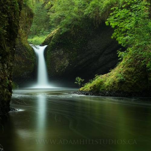 adamhillstudios:  Happy #worldwaterday!
