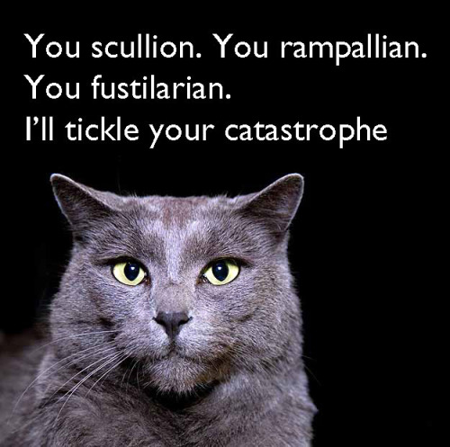 professorsparklepants:gayjunkrat:kat-howard:dbvictoria:Shakespearean insults, with cats.7 more here.