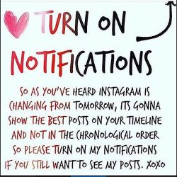 Turn me on!! ✔️ Hola, Activa las notificaciones