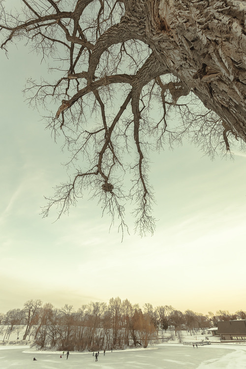 Powderhorn Park, Minneapolis