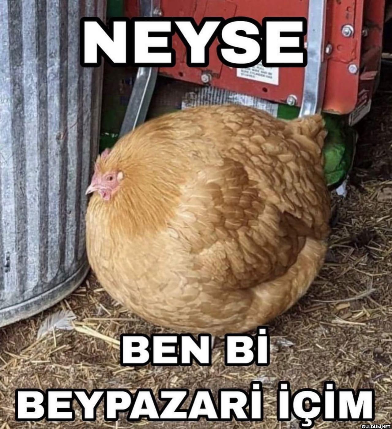 @zuarchiv    NEYSE BEN Bİ...