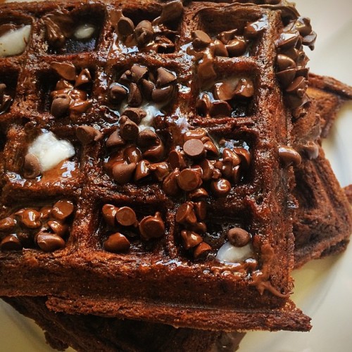 cookingglutenfreewithemily:  Gluten Free Vegan Chocolate Waffles! To say I’m addicted to these would