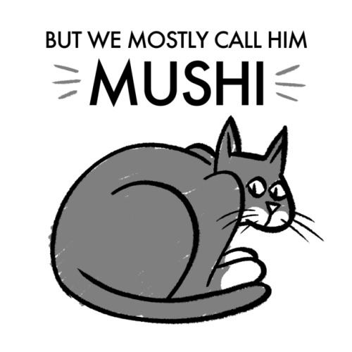 fire-plug:A cat named Mushi