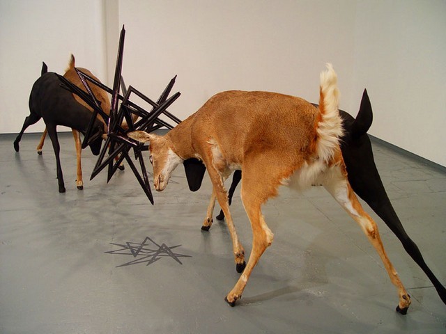 stephanieandstuff:  exhibition-ism:  The electric works of Los Angeles based artist