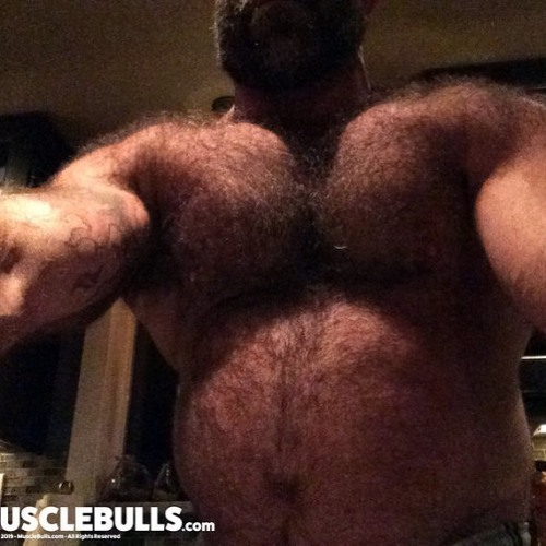 Old but great pic of the Big Bull showing off his big hairy chest . . Join us to see a lot more! htt