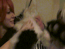 Jack-The-Lion:  Sfwfurry:neck Scratching! (Gif) By Flexi  Flexi’s So Cute :3  Dat