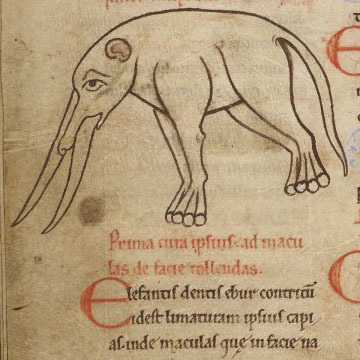 larsdatter:What are these strange, fantastical creatures? Elephants.These illustrators from the 12th