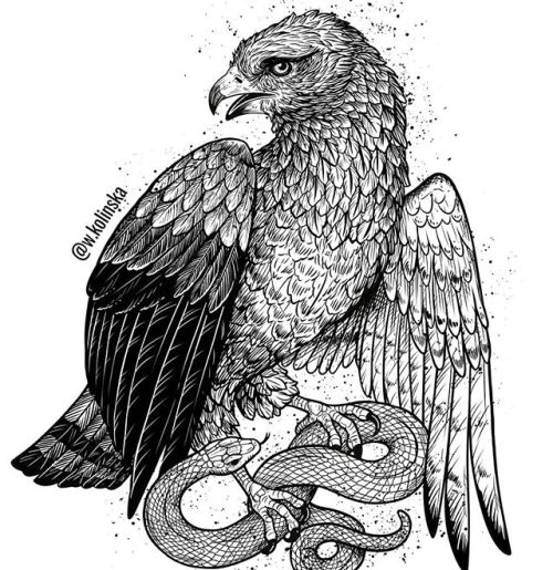 Snake eagle for @wearmedicine Endangered species of Poland collection #togetherfornature — vie