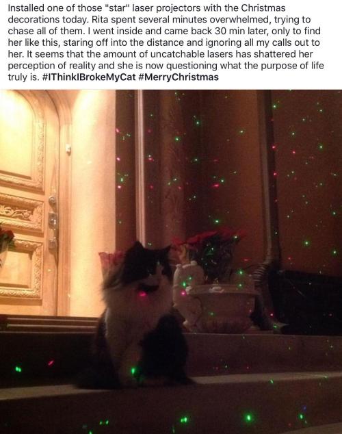 redditfront:  I think I broke my cat. - via http://ift.tt/2hxmV2K
