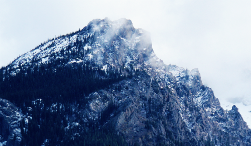 bright-witch: Hurricane Ridge, Washington  ◈ Pacific Northwest photography by Michelle N.W. ◈ ◈