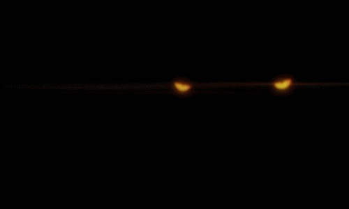 Bleach | Animated World