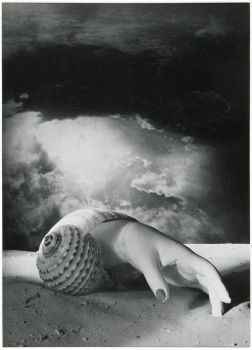 ymutate:Dora Maar, Untitled (Hand-Shell), 1934. 