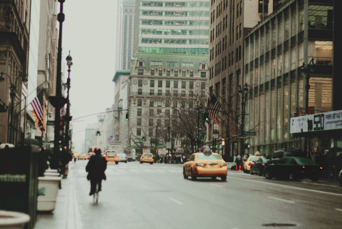 Winter in Fifth Avenue