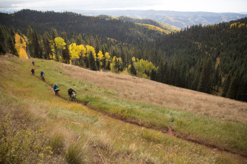 image of cyclists riding on a mountain trail