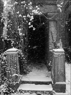 celtic-cat2u:Ivy-covered mausoleum, snowy