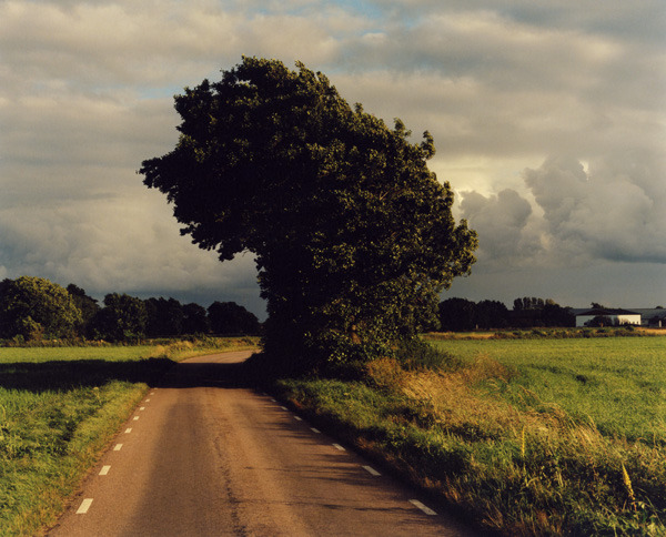 20aliens:  Jamie Hawkesworth