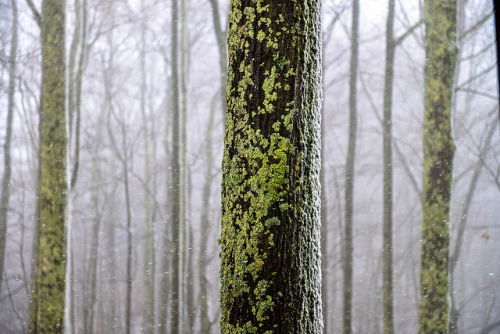 Gatlinburg_20131210_ED31 by Natwick on Flickr.