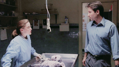 folie-atwo: Do you believe in the existence of extraterrestrials? The X-Files, Pilot (1993)