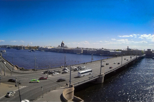 Petersburg through the eyes of summer birds.Ph:DanSpbinst: @danspbway