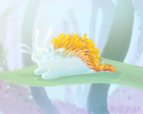  #Purrmay day 8 is “Shallows”So here’s a Mewdibranch peacefully loafing on a bit o