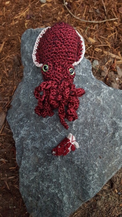 crochetbabe: Squid photoshoot in natural light! Plus a bonus Hermaea olivae nudibranch as well :) I 