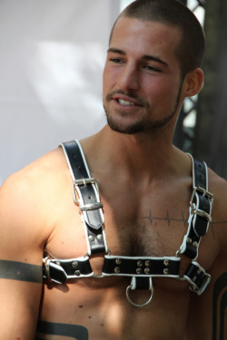 rubberlycra:  Will always reblog this stud! 