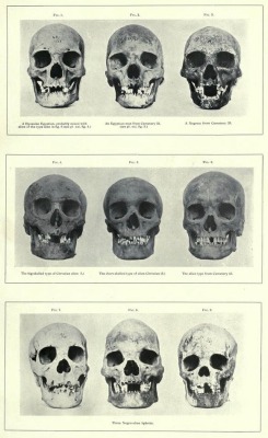 nemfrog:  Skulls. The archaeological survey of Nubia : report for 1907-1908. Published 1910.