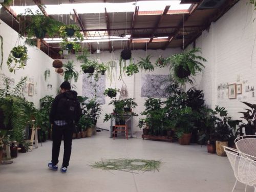 thepaperbeast: Loose Leaf - Collingwood, Melbourne.  toughstrips and I seized the day with early coffees and plant adventures. Can’t rave enough about this place. 