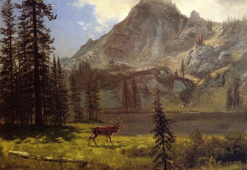 The Call of the Wild, Albert Bierstadt, date unknown