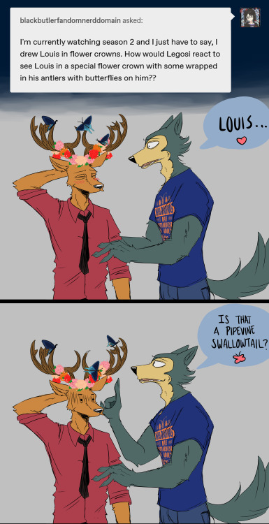 Legosi you poor, sweet thing. You don’t have a thought behind those eyes do you?