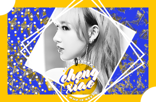 • •  CHENG, XIAO  ▸  980715  ▸  COLLEGE STUDENT  • • A TRC HOPEFUL ON THE RISE.If you ask me what I 