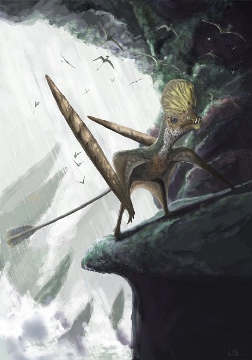 Caviramus was a smallish pterosaur from the Late Triassic with an unusually fancy crest (for the tim