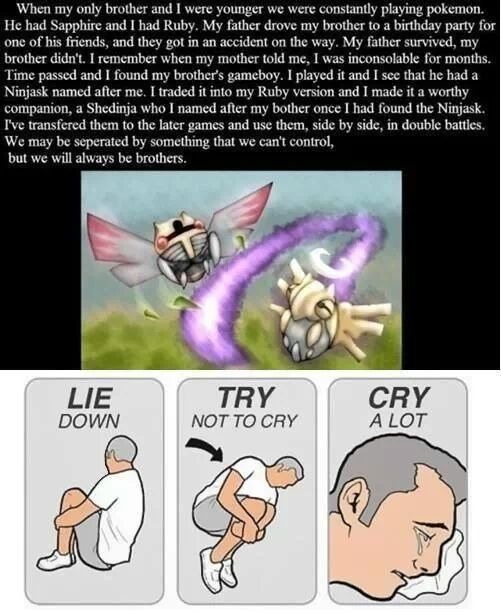 lapfoxs:  all-that-is-pokemon:  My brother just sent this to me. The bottom part