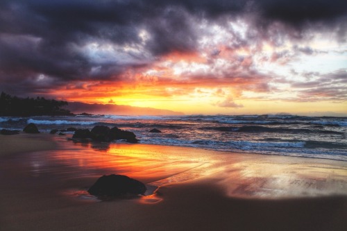 searchforsea:  chloekono:   I have a thing for sunsets    Who doesn’t?